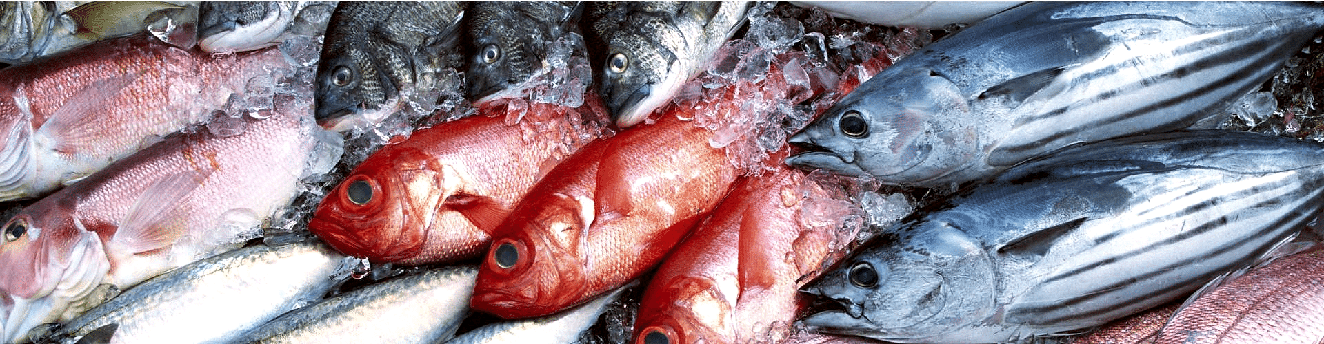 Su Ürünleri Hal Fiyatlarını güncel olarak sitemizden takip edebilirsiniz.